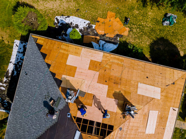 Best Roof Repair Services  in Oxford, MI