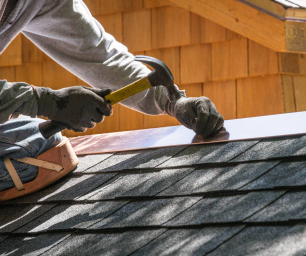 Best Metal Roofing Contractor  in Oxford, MI